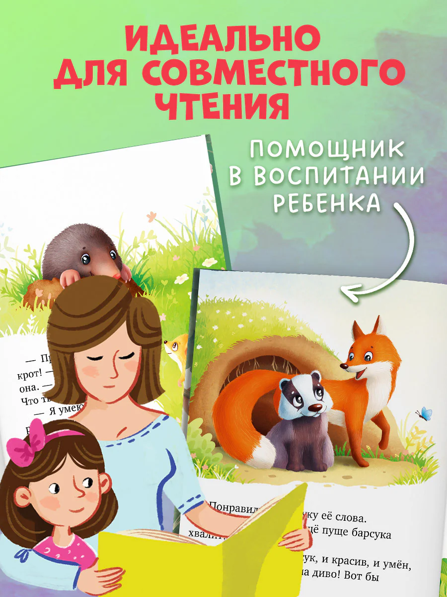 תמונת מוצר 5
