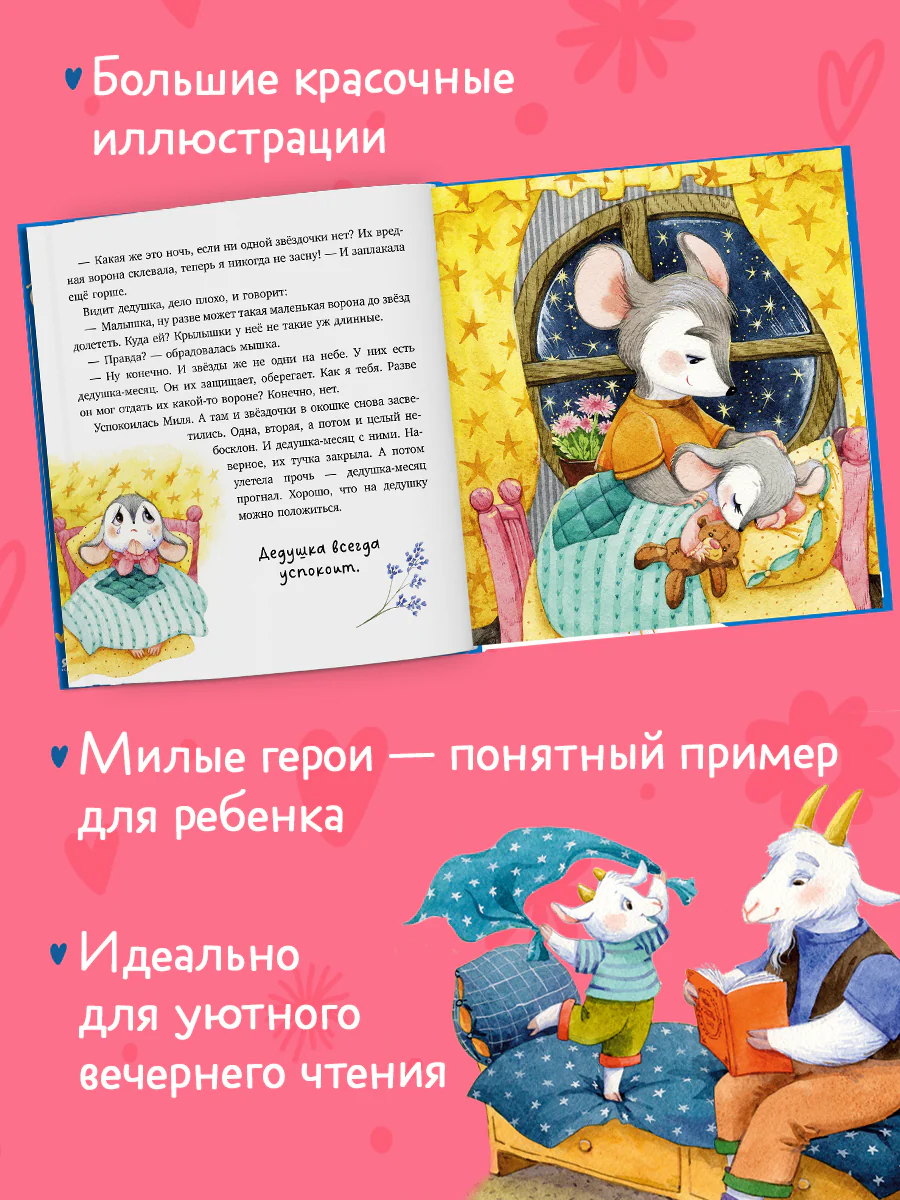 תמונת מוצר 3