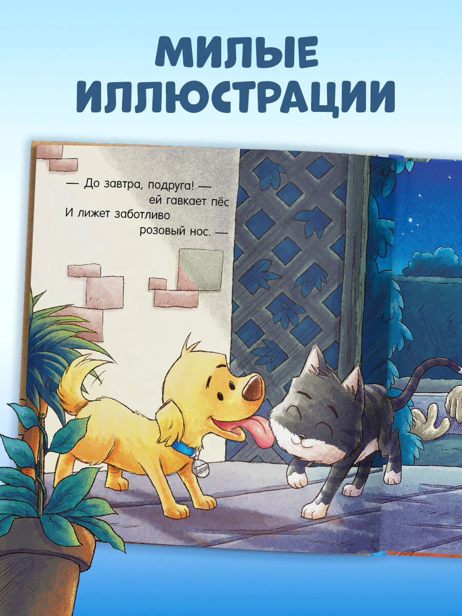 תמונת מוצר 3