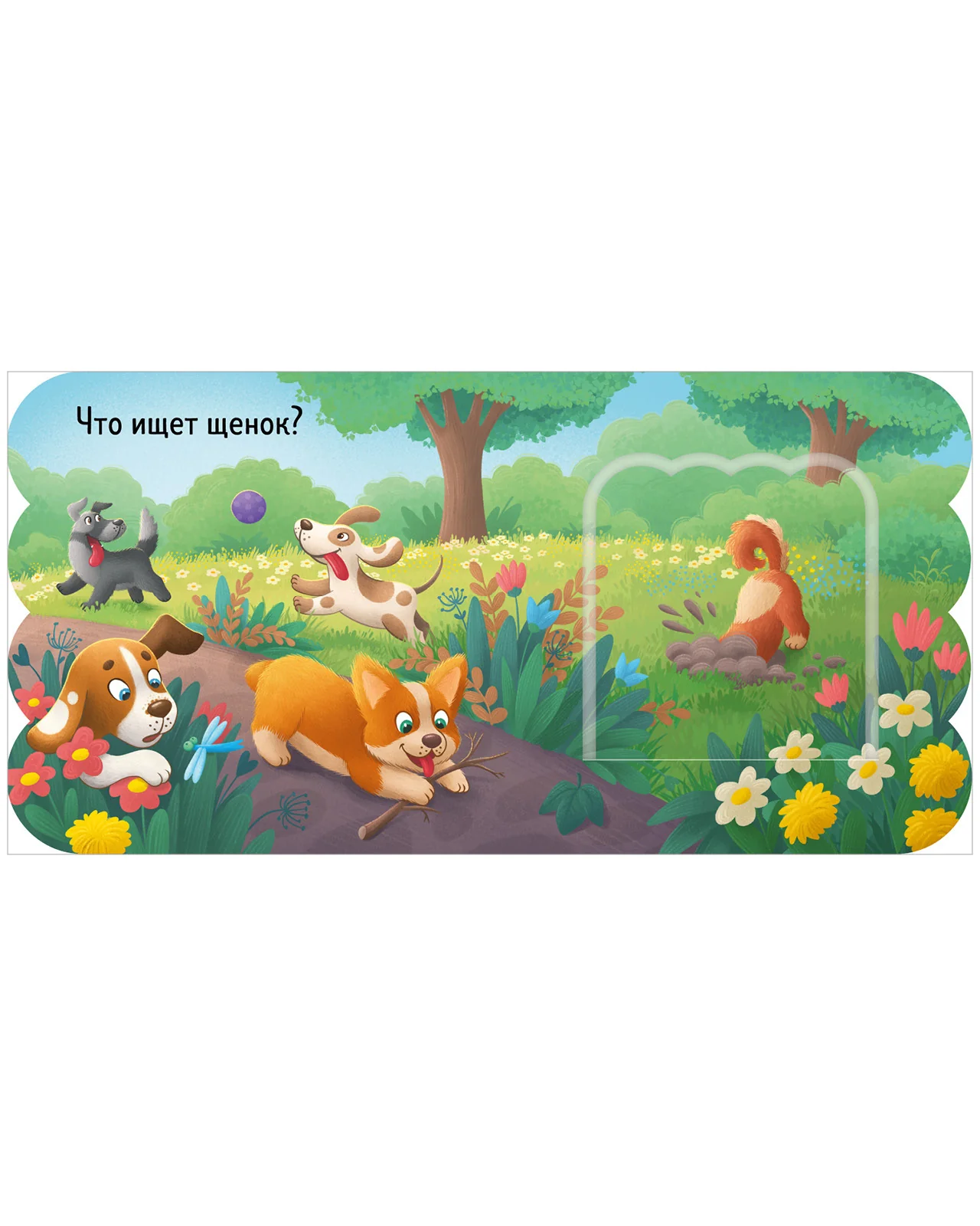 תמונת מוצר 12