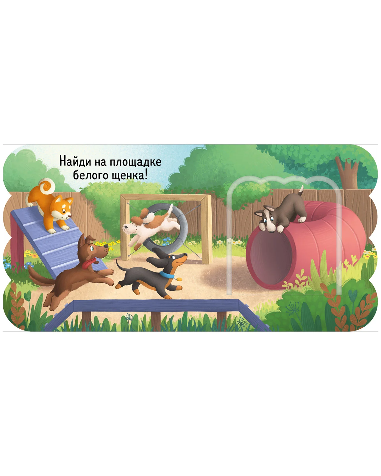 תמונת מוצר 13