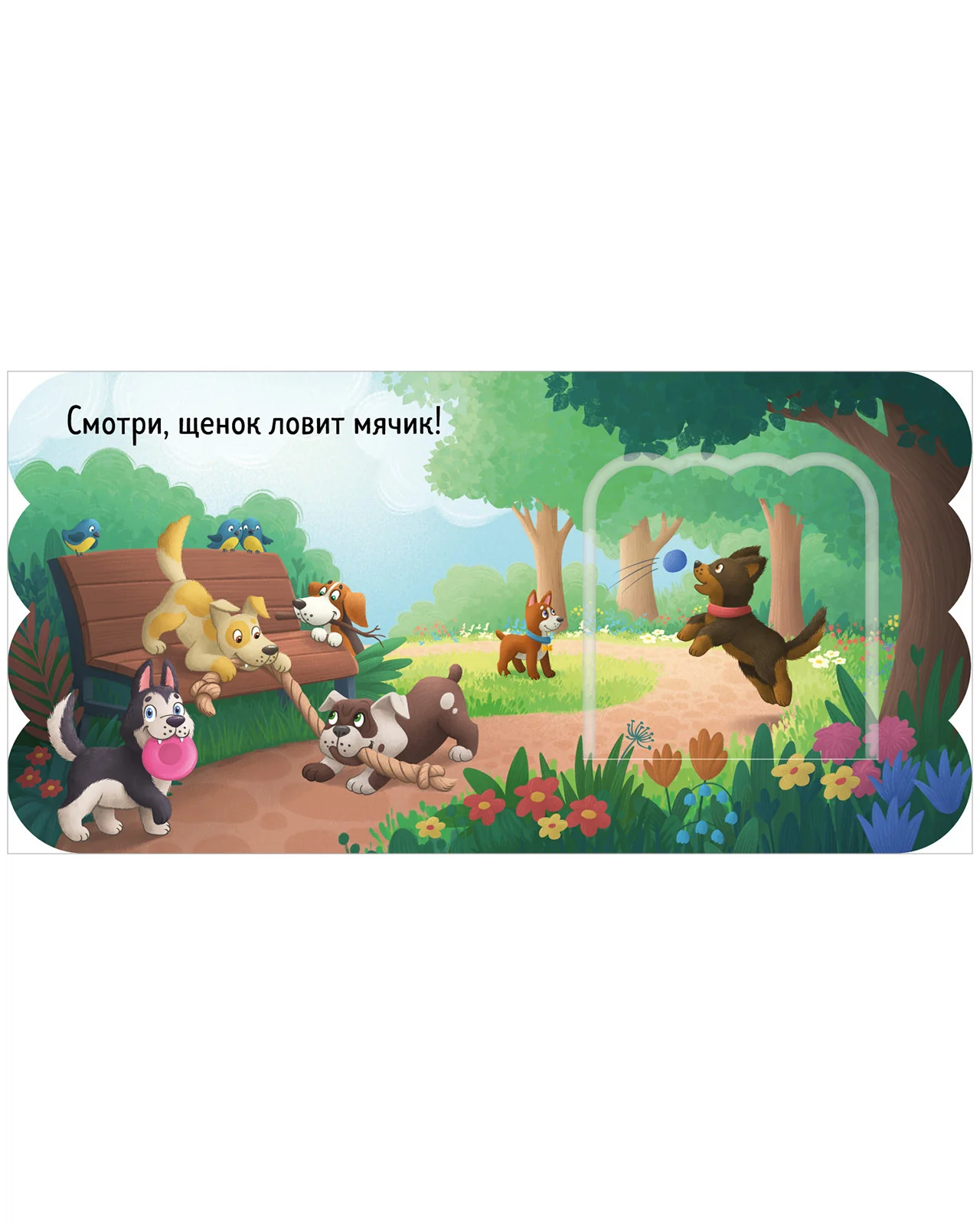 תמונת מוצר 14