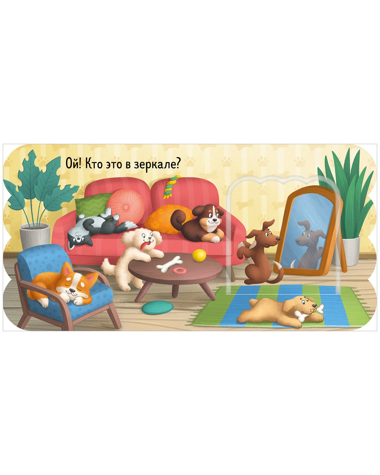 תמונת מוצר 15