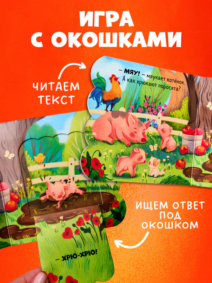 תמונת מוצר 3