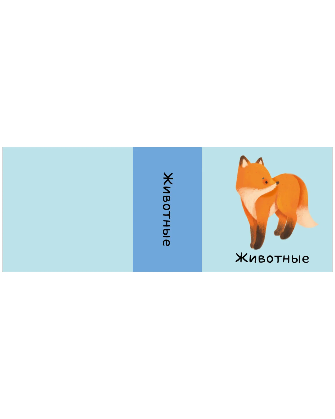 תמונת מוצר 15
