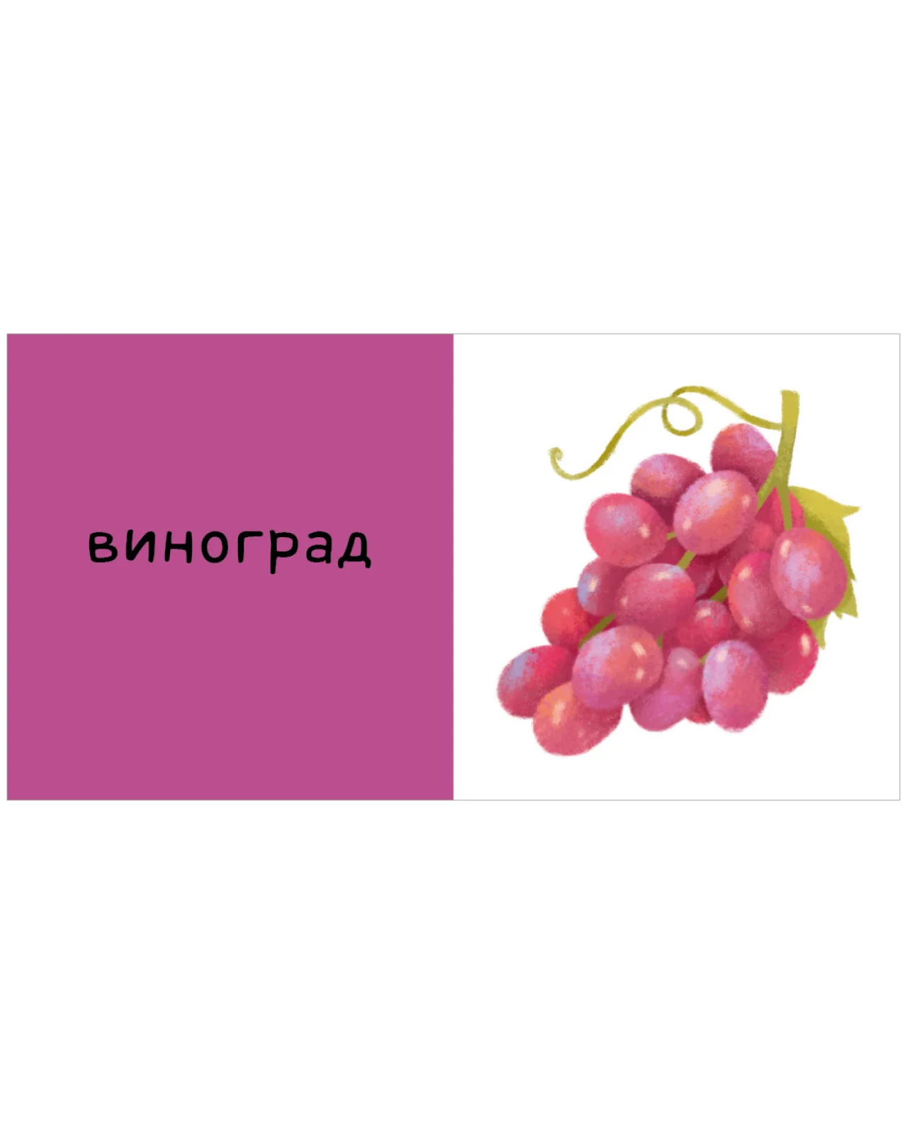 תמונת מוצר 18