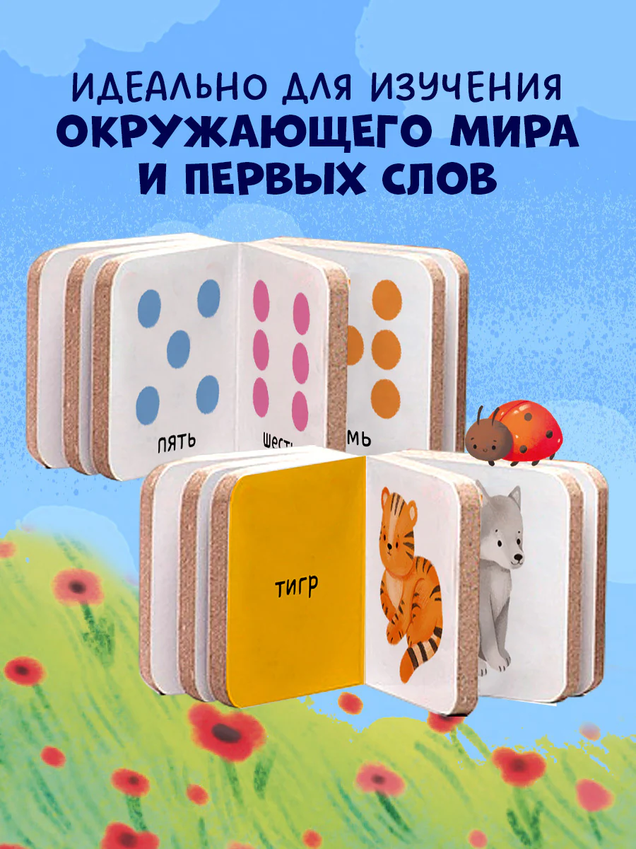 תמונת מוצר 5