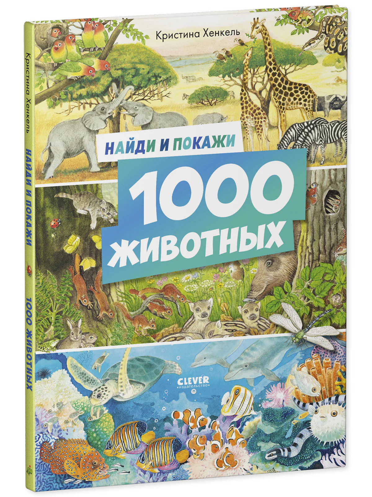 תמונת מוצר 10