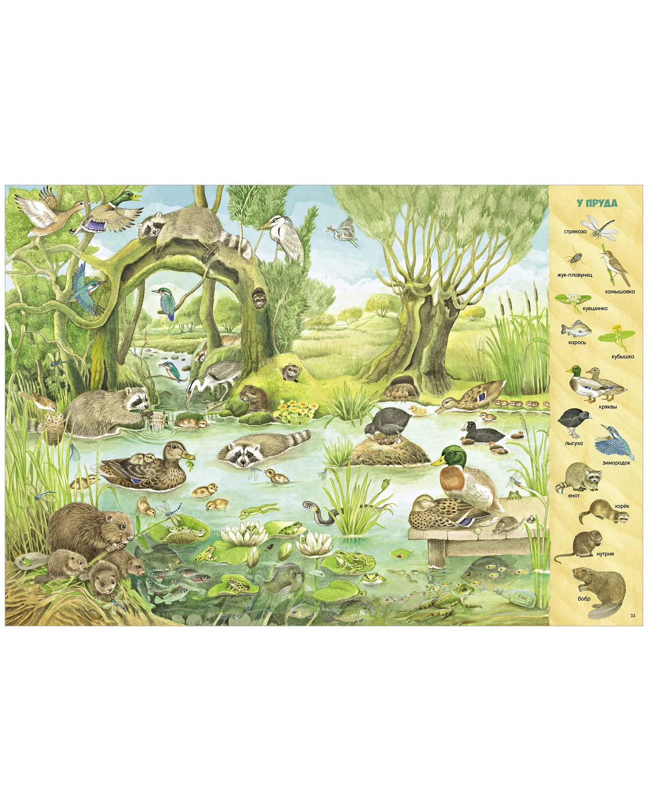 תמונת מוצר 13