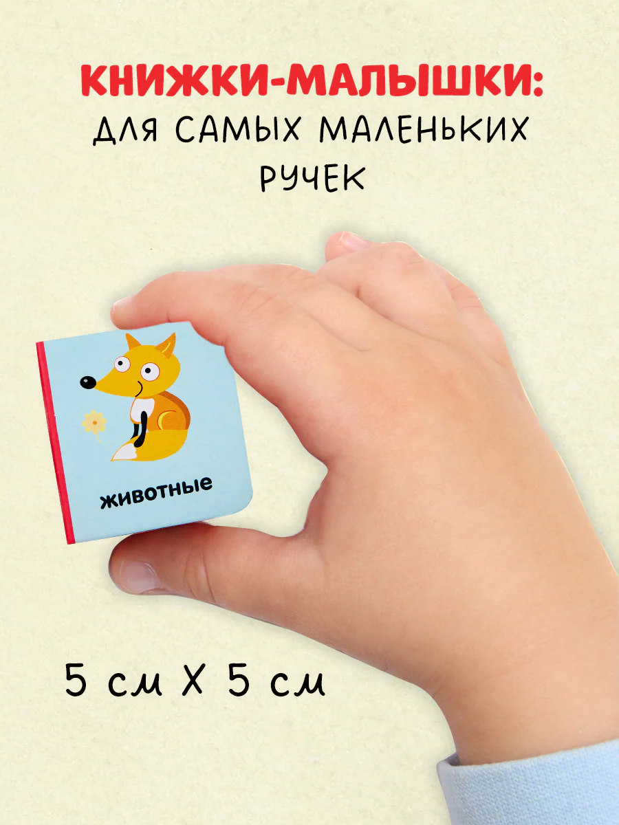 תמונת מוצר 3