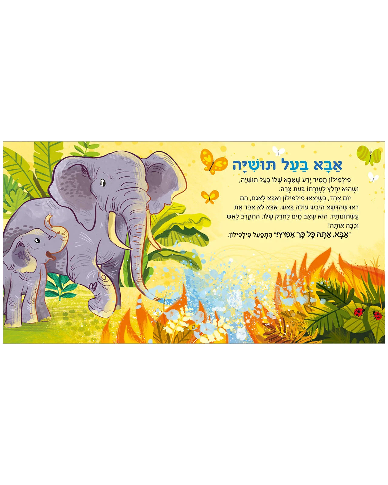 תמונה ממוזערת 2