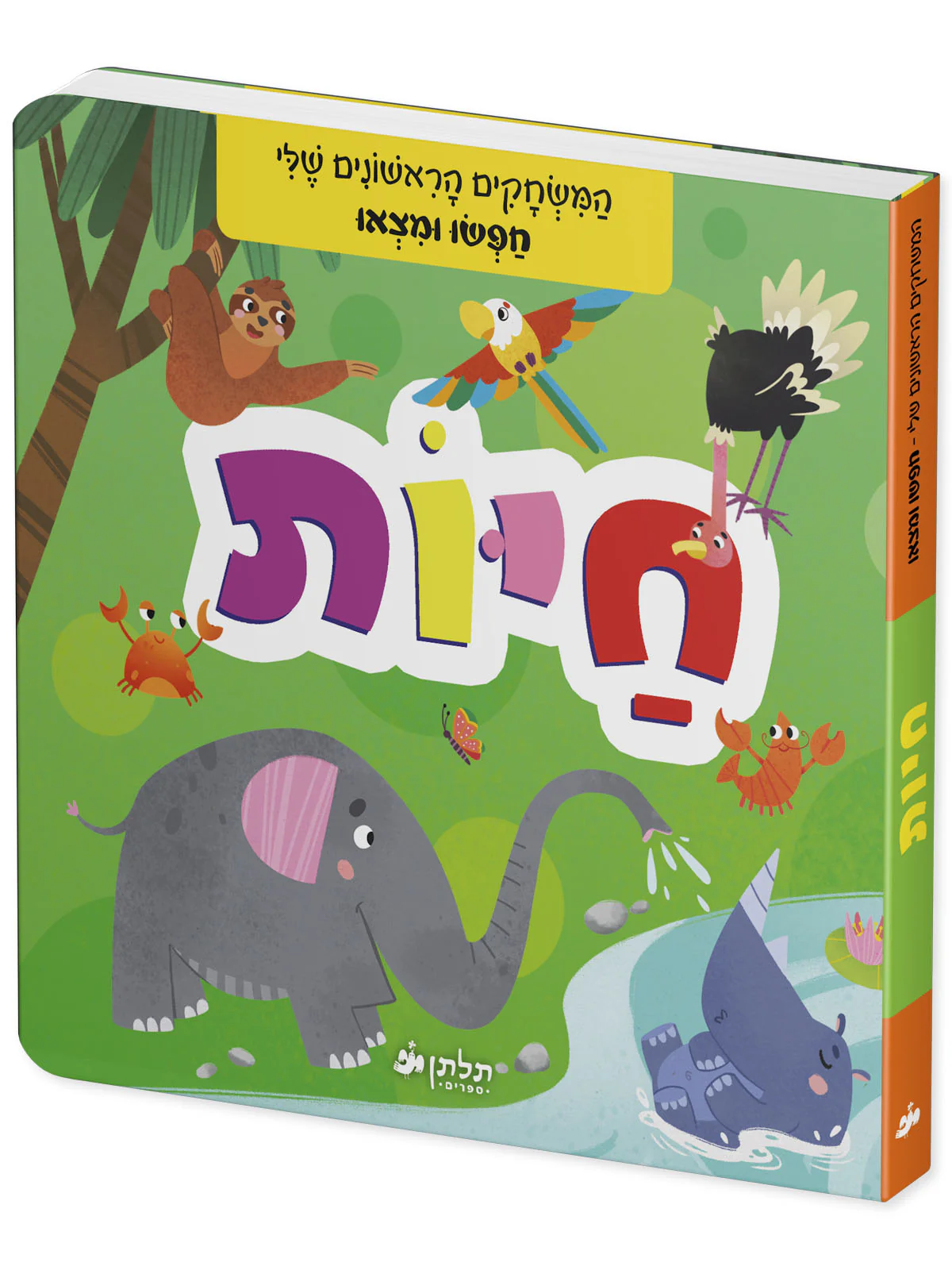 תמונה ממוזערת 2
