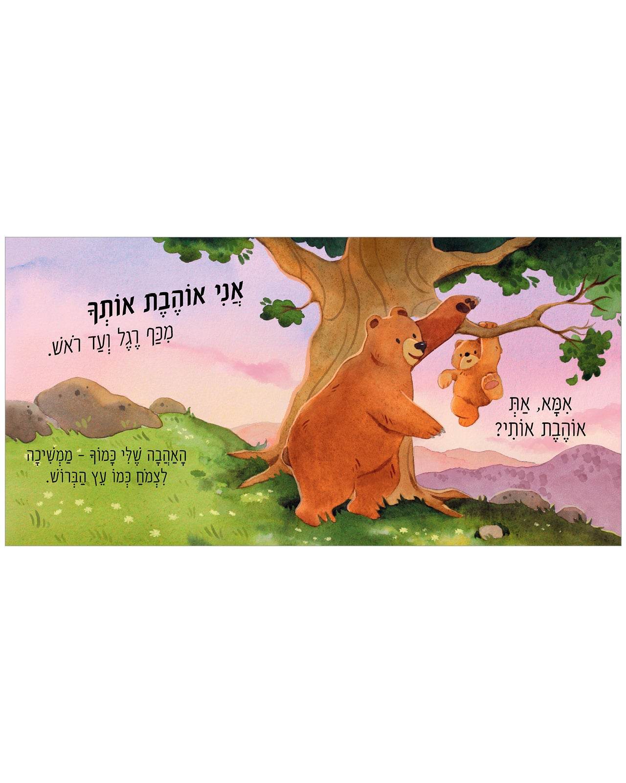 תמונת מוצר 3