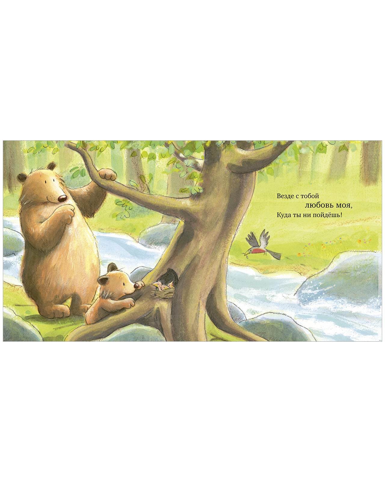 תמונת מוצר 11
