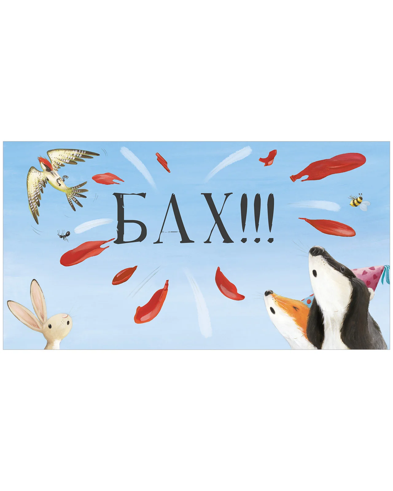 תמונת מוצר 31