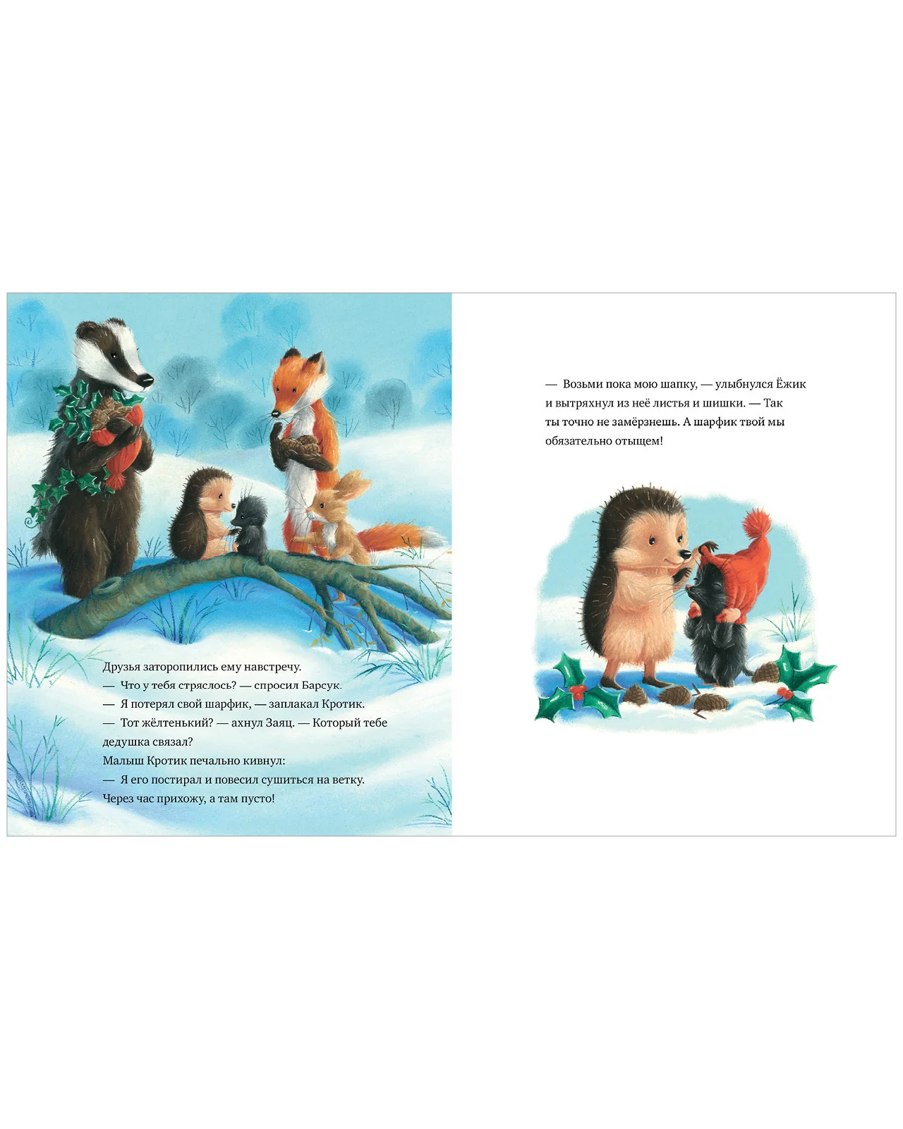 תמונת מוצר 16