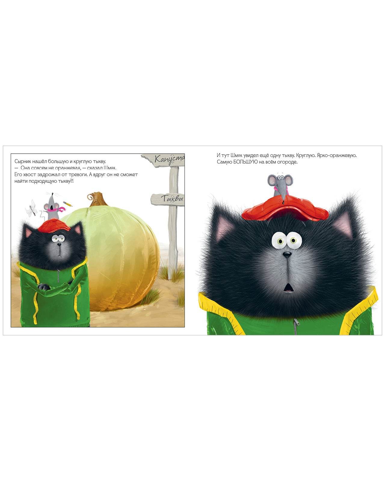תמונת מוצר 6