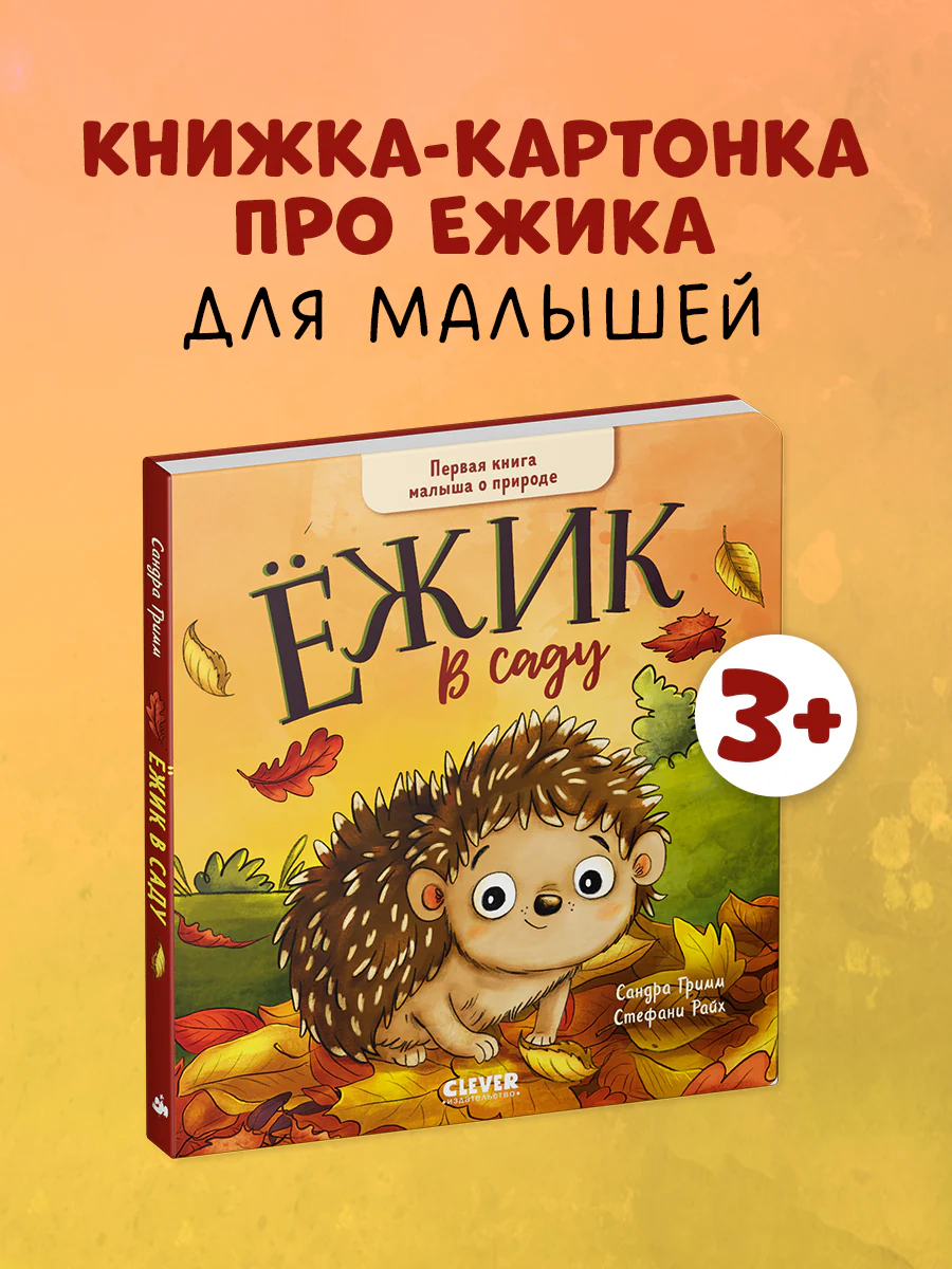 תמונת מוצר 1