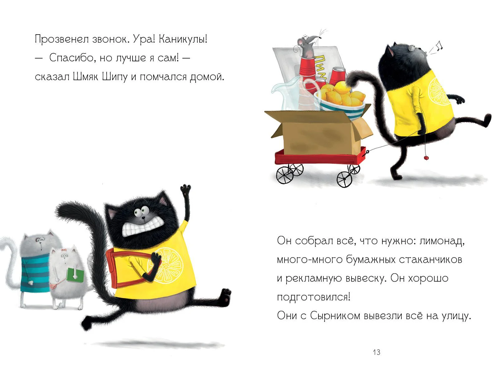 תמונת מוצר 21