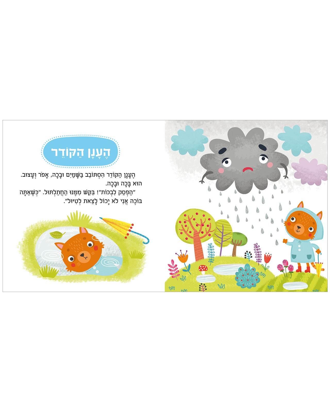 תמונת מוצר 3