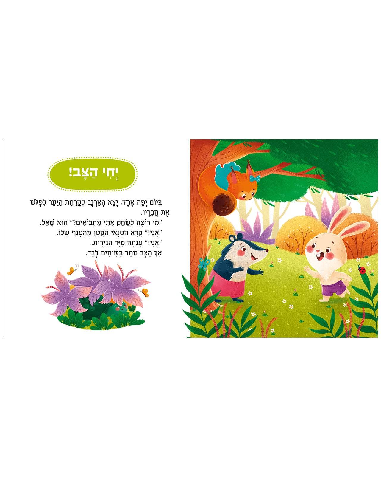 תמונת מוצר 3
