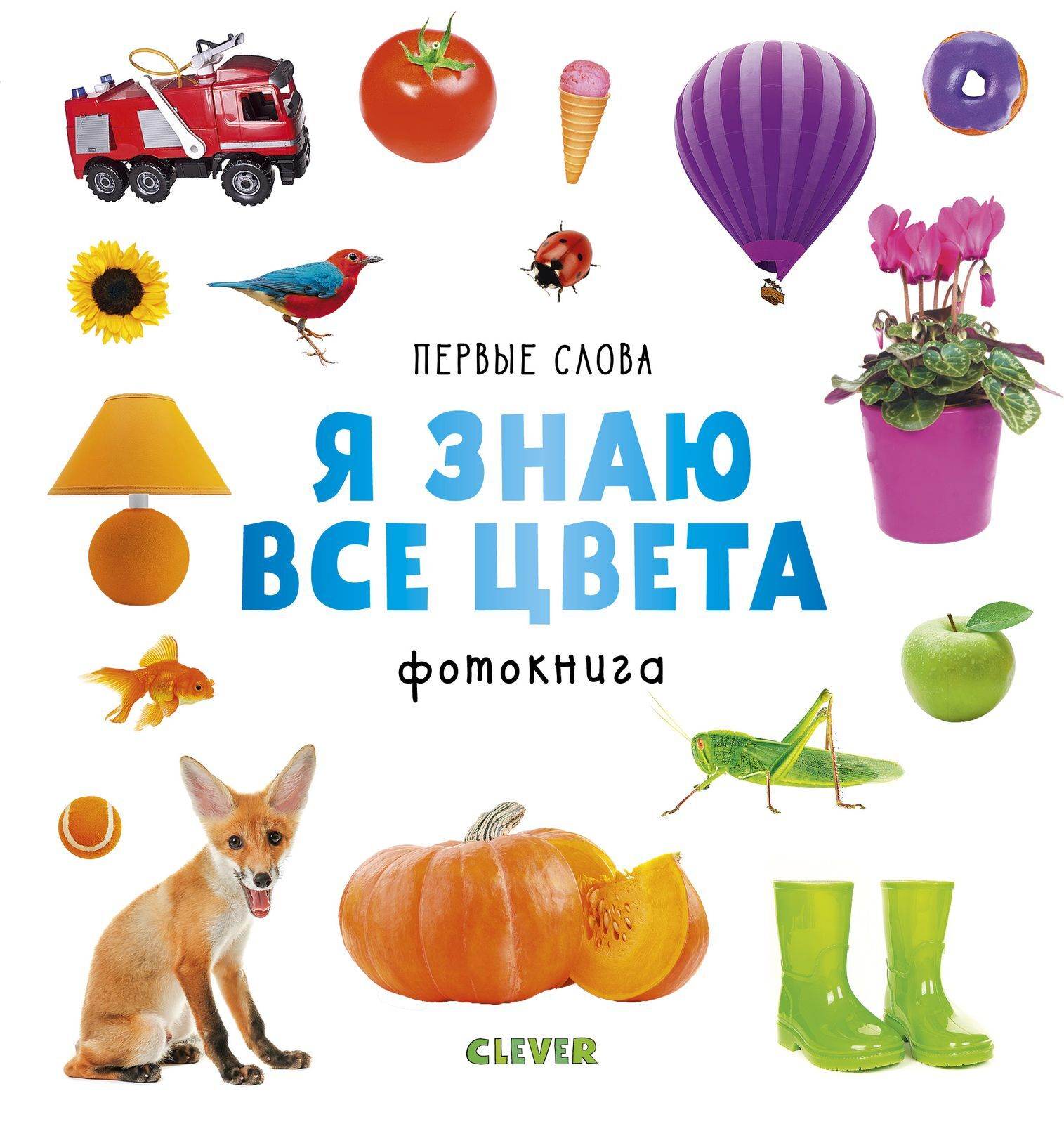 תמונת מוצר 1