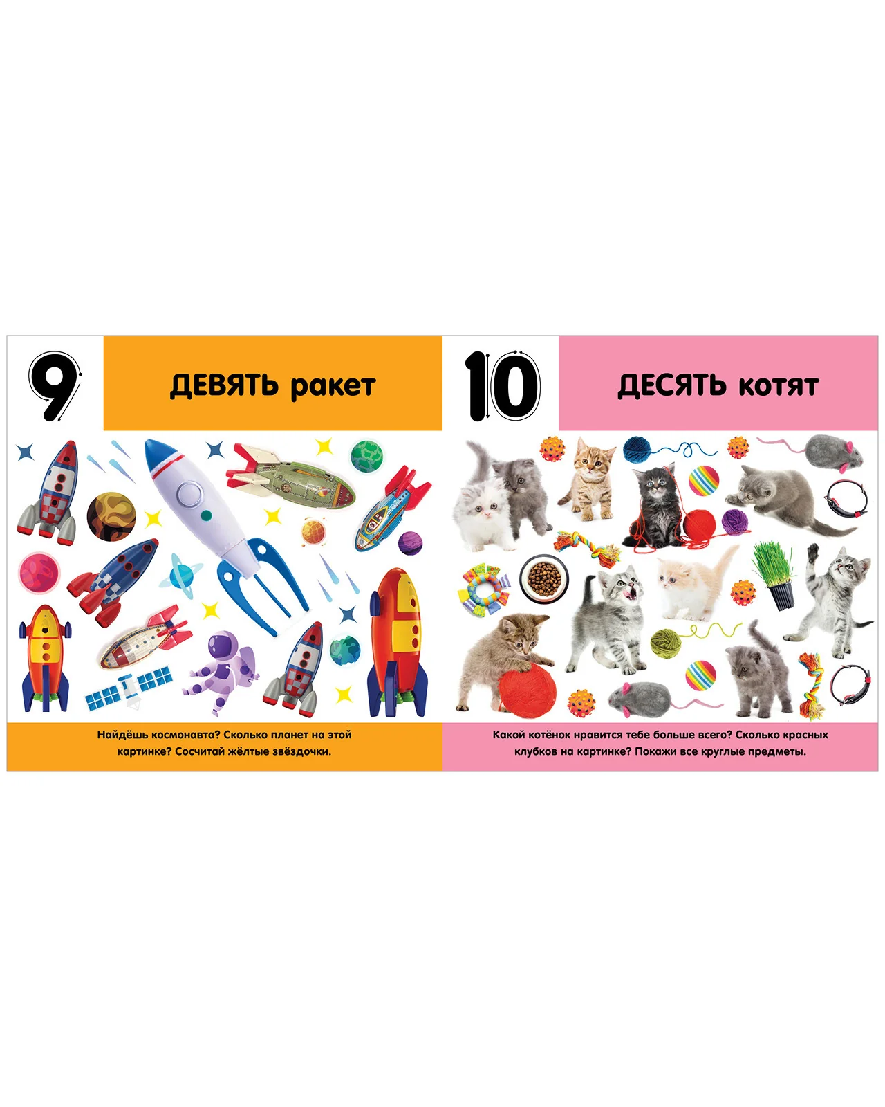 תמונת מוצר 10
