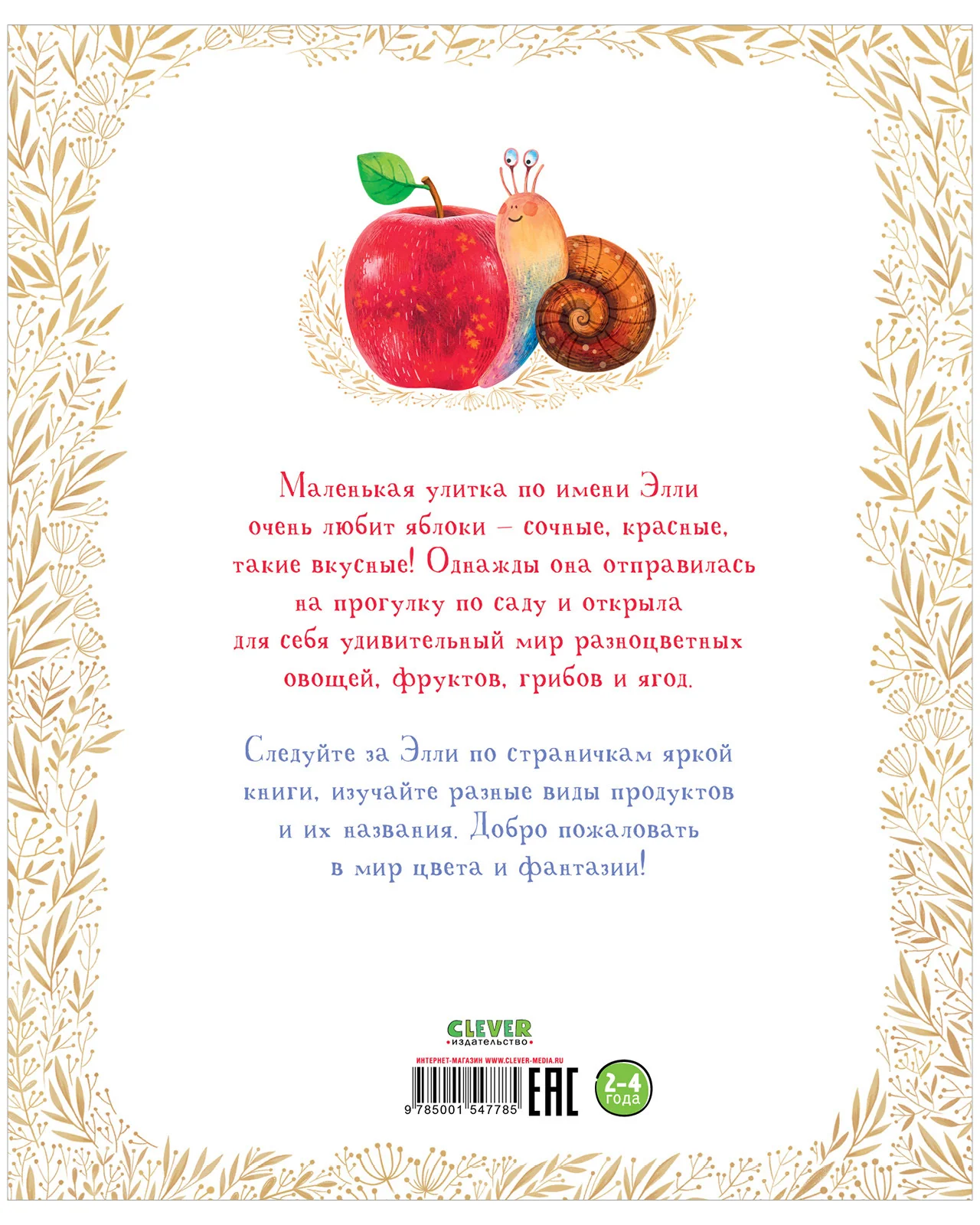 תמונת מוצר 17