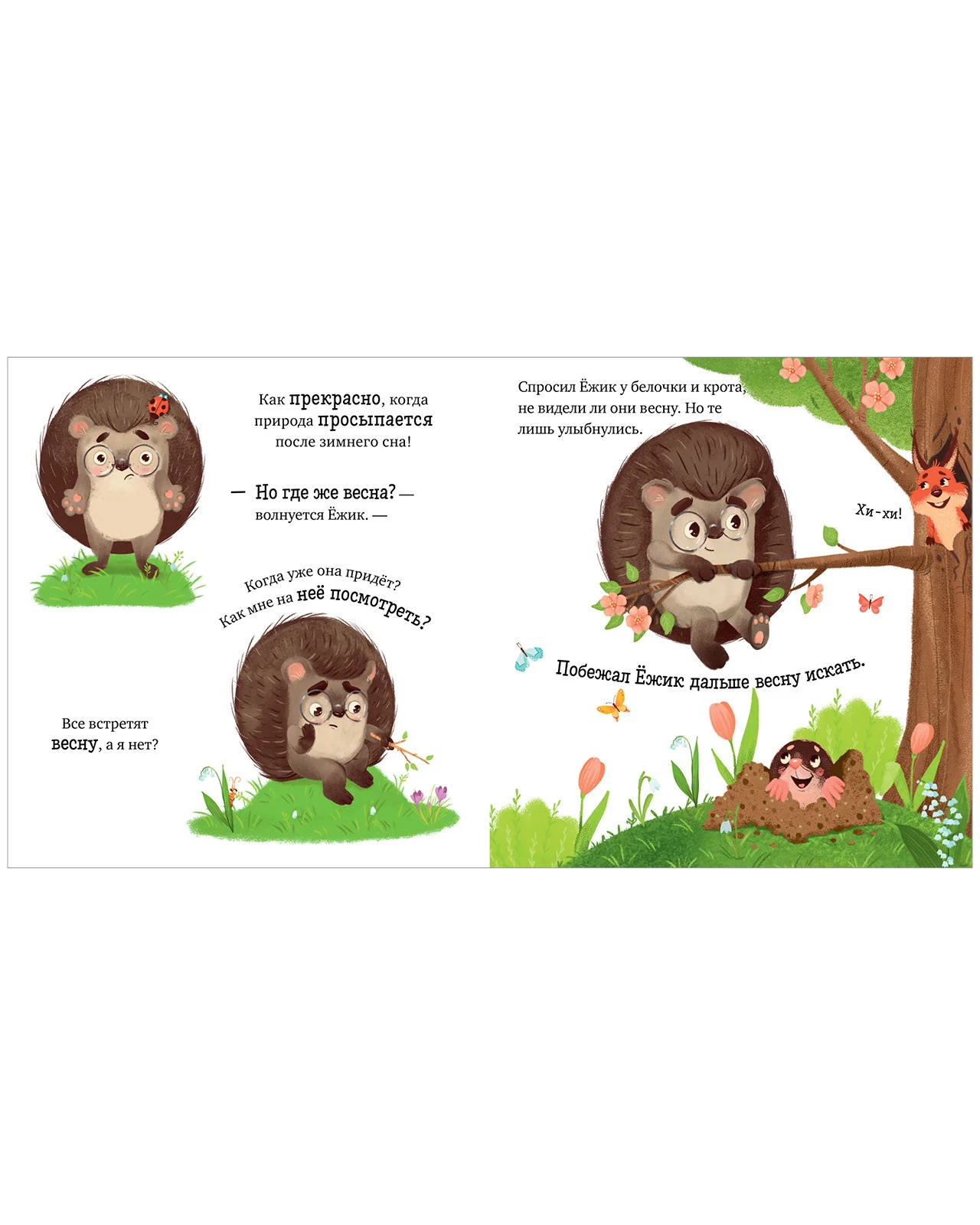 תמונת מוצר 15