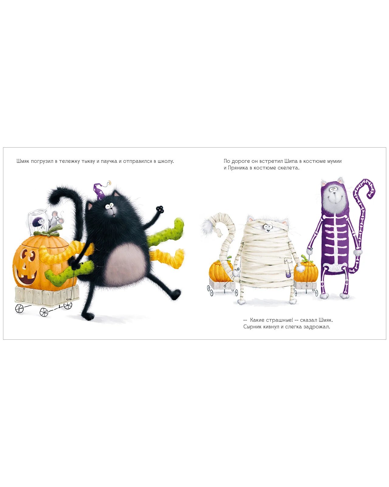 תמונת מוצר 18