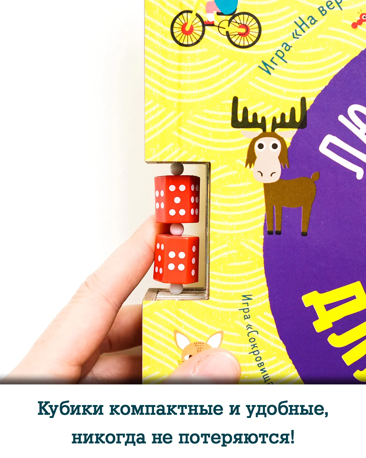 תמונת מוצר 14